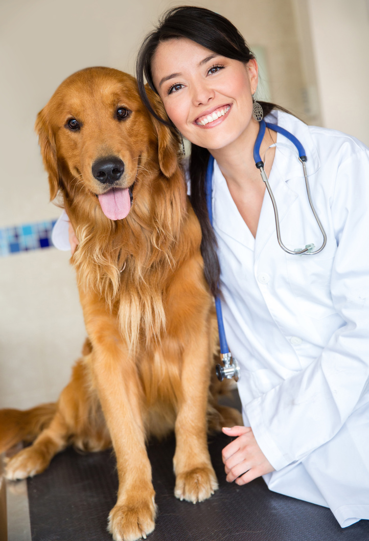 A veterinarian in a white lab coat is standing next to a golden retriever